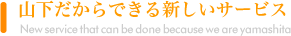 ����������Ǥ��뿷���������ӥ�