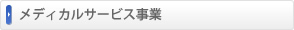��ǥ����륵���ӥ�����